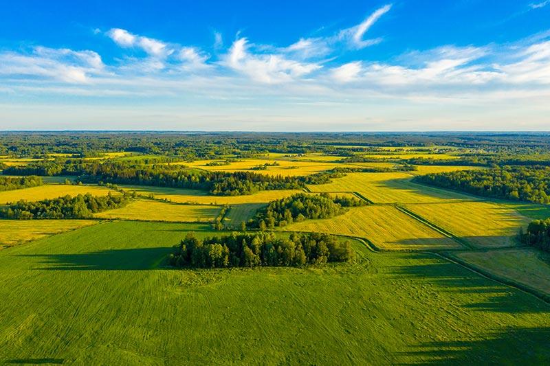 aerial view of green fields